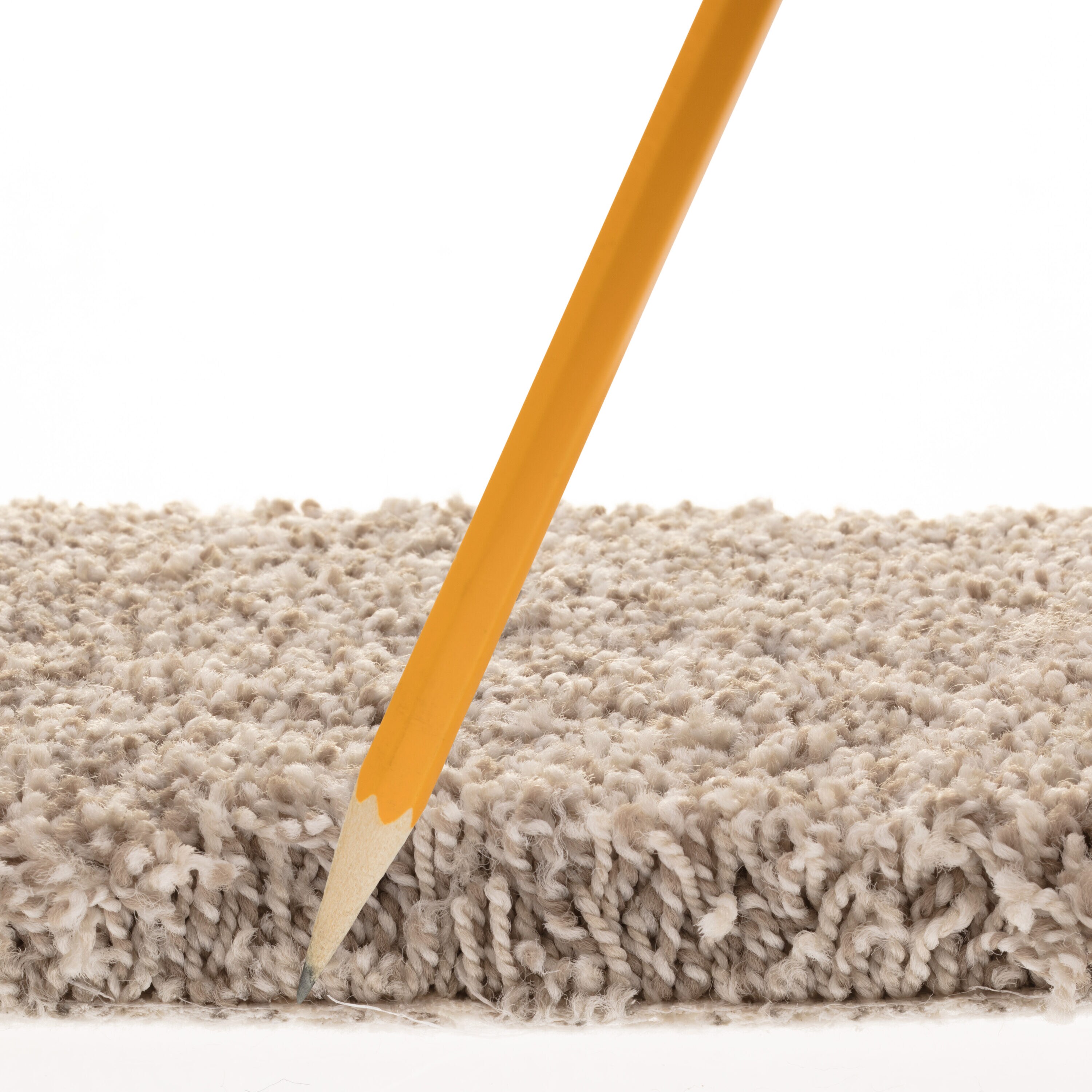 STAINMASTER PetProtect Ready 2 Play III Jasper Off-white 73.1-oz