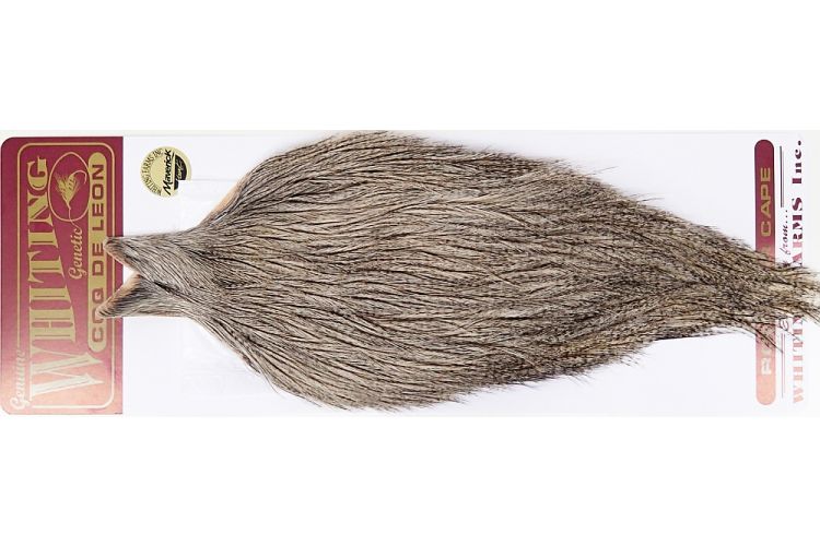 WHITING ホワイティング コックデリオン ハックル 杜の家ブルック 通販