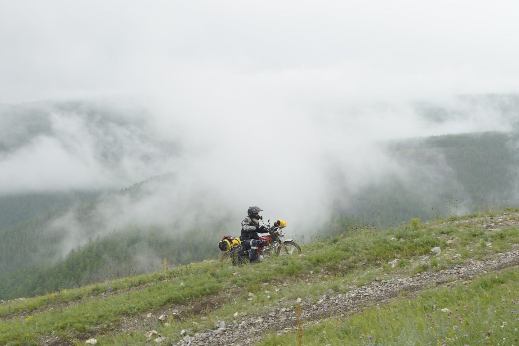 Into the Forest. - MotoNomad Rally – explore like a local.