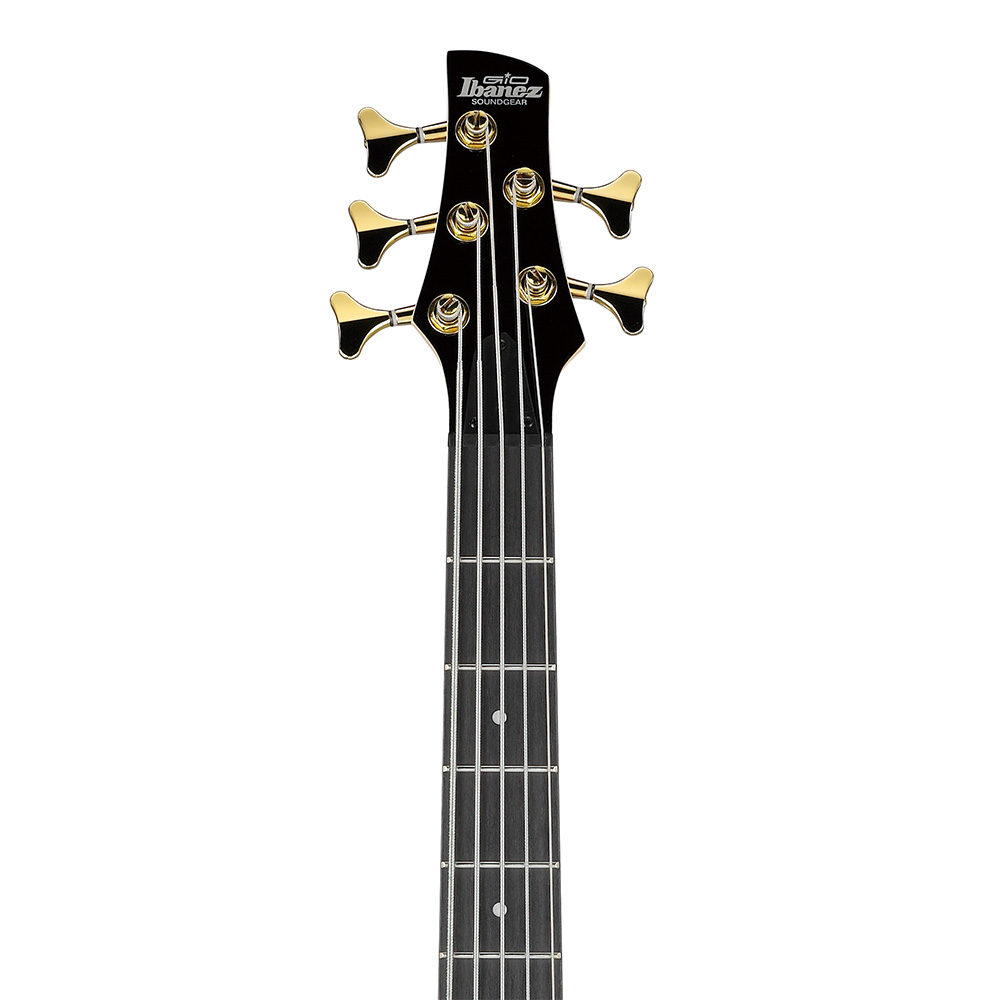 Ibanez Gio GSR205PC-TPB (Transparent Pale Black Burst