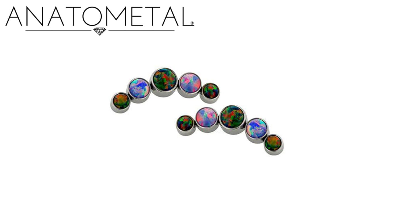 アーククラスターエンド - アナトメタル 【MYMAY通販】