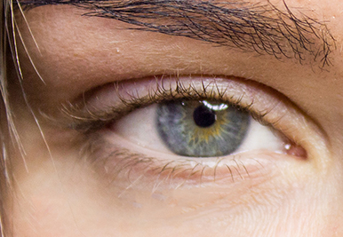 ボリュームアイラッシュ エクステンション用つけまつげ - Nanolash 日本