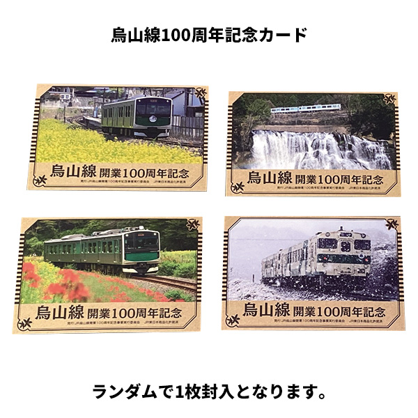 JR EV-E301系電車（ACCUM・烏山線）2両セット | ナスカラ市場