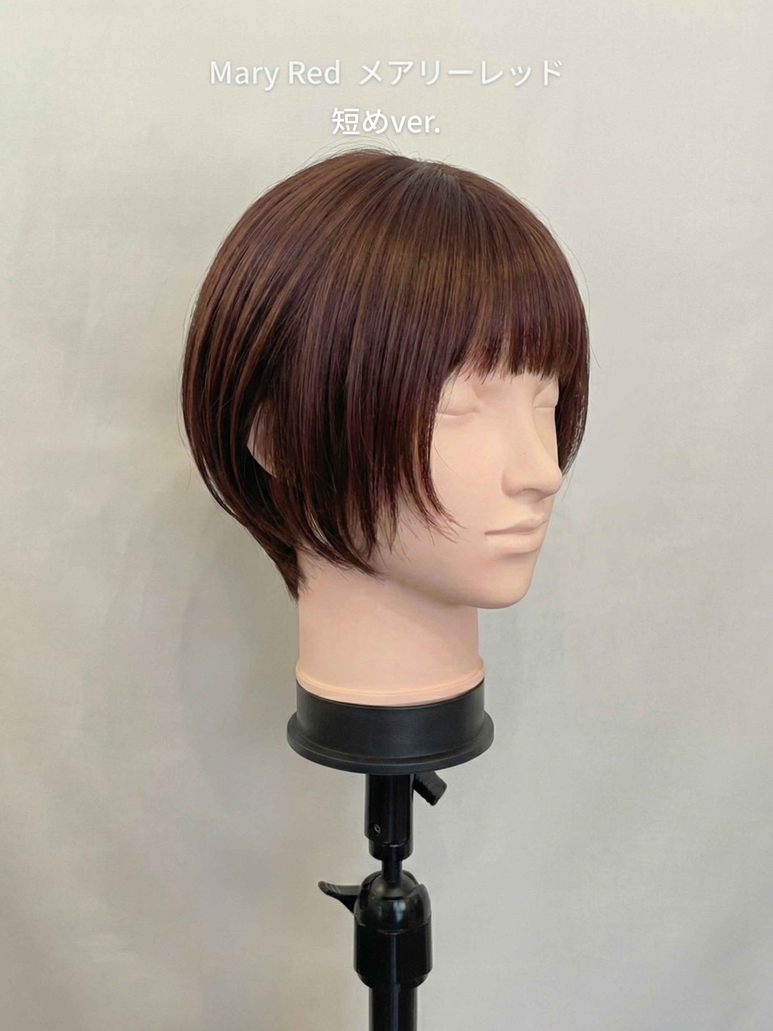 ポールマッシュレイヤー/ウィッグ/ショートレイヤー