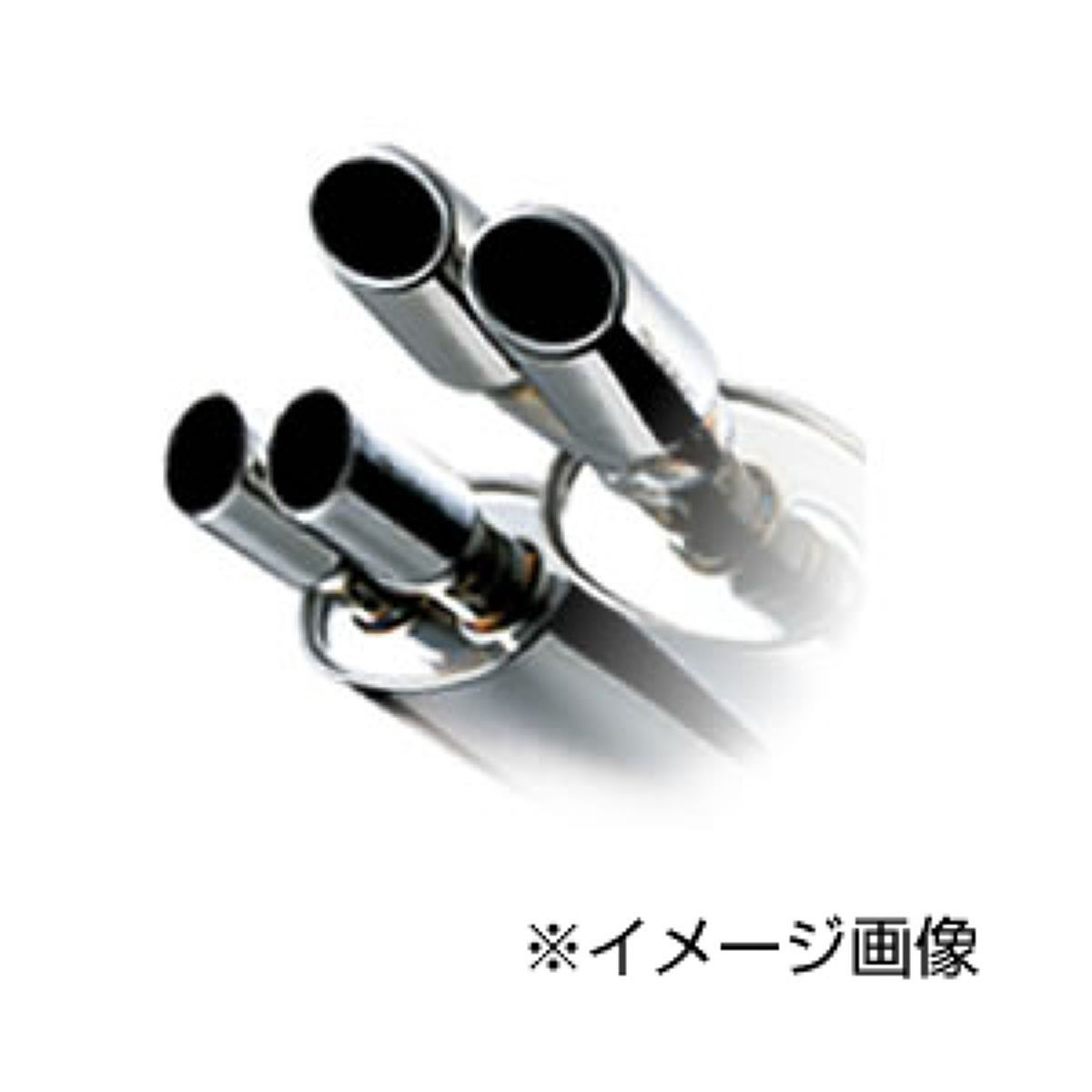 tanabe タナベ マフラー メダリオン eR TUNE EN15SS-GA ニッサン