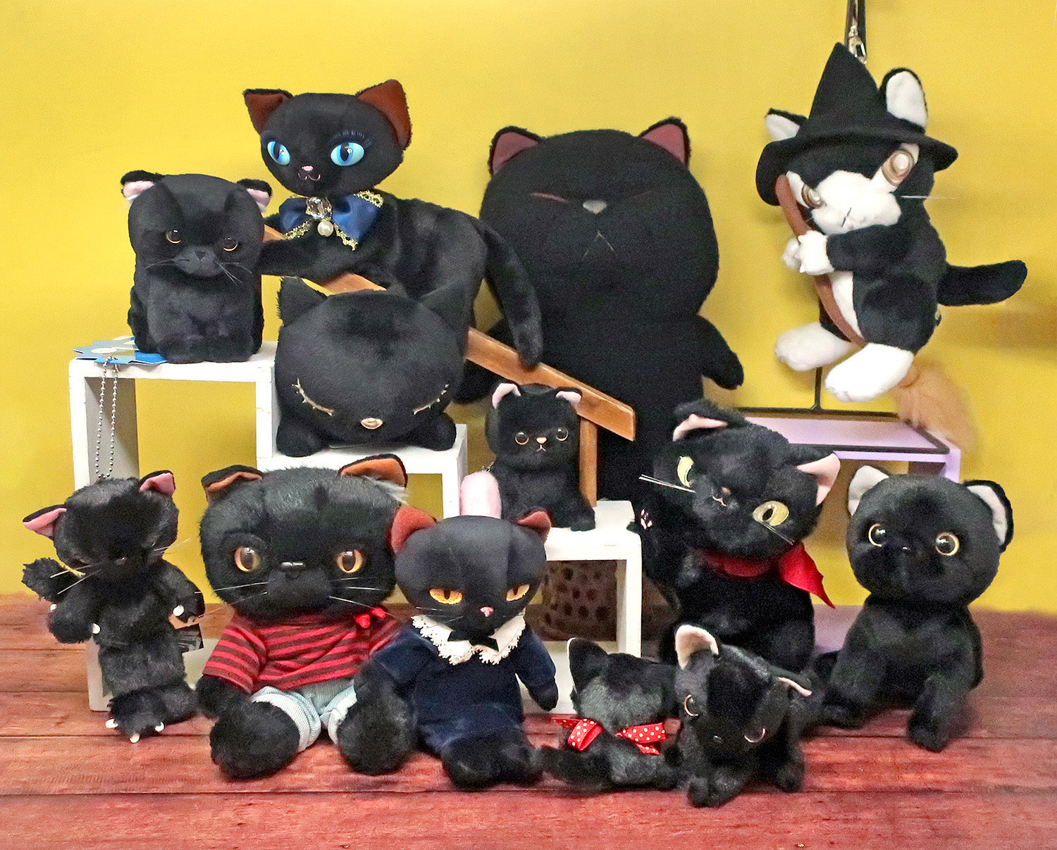 ハロウィン！！ あつまれ黒猫 特集☆ – nipopo