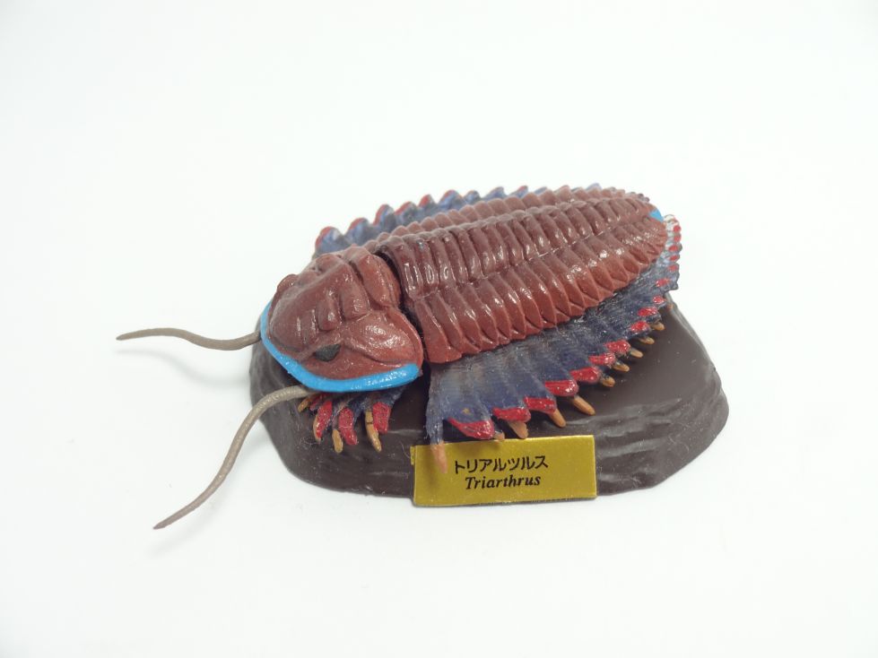 カプセルQ 古生代-生命大爆発(ビッグバン)-