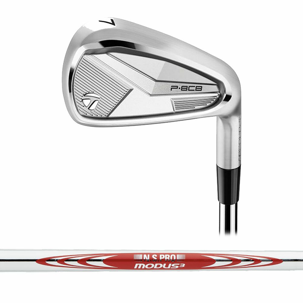 テーラーメイド TaylorMade P790 アイアン（5本セット） N.S.PRO