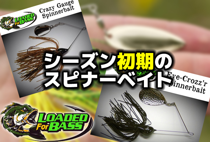 バス釣りまとめ売り ビッグベイト ミノー シャッドクランクベイト