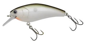 COMPLETE SQUARE 70 | BASS | NORIES