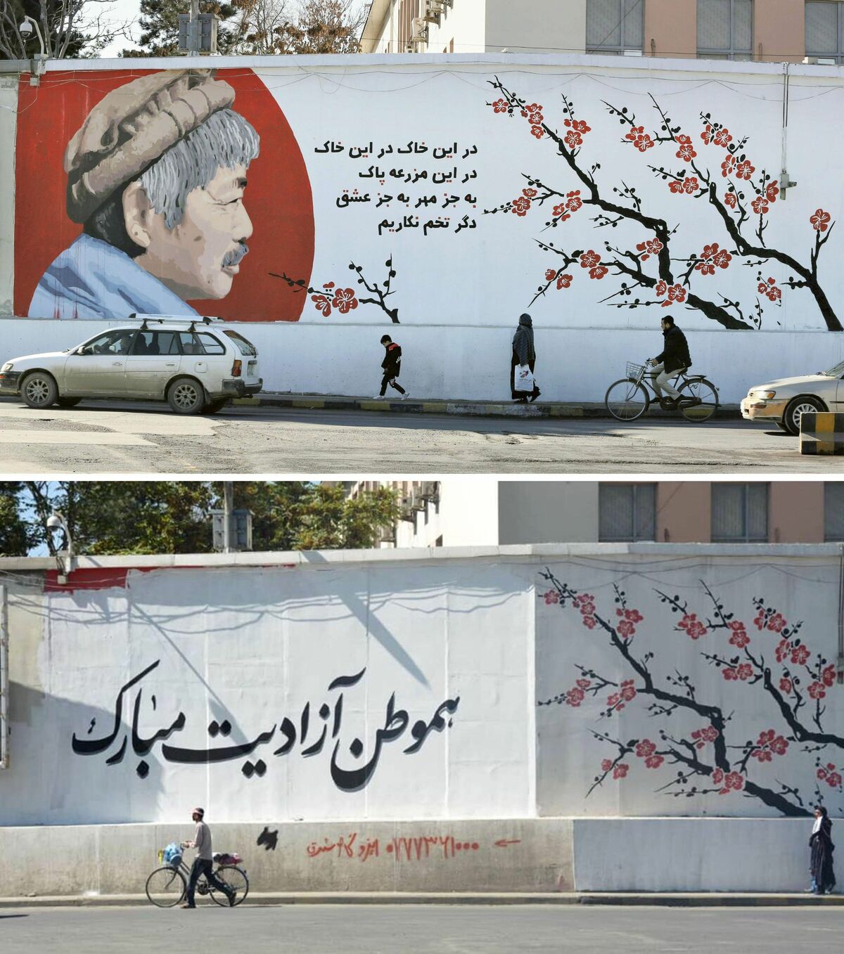 中村さん 絵消される アフガン タリバン指示か | 沖縄タイムス＋プラス