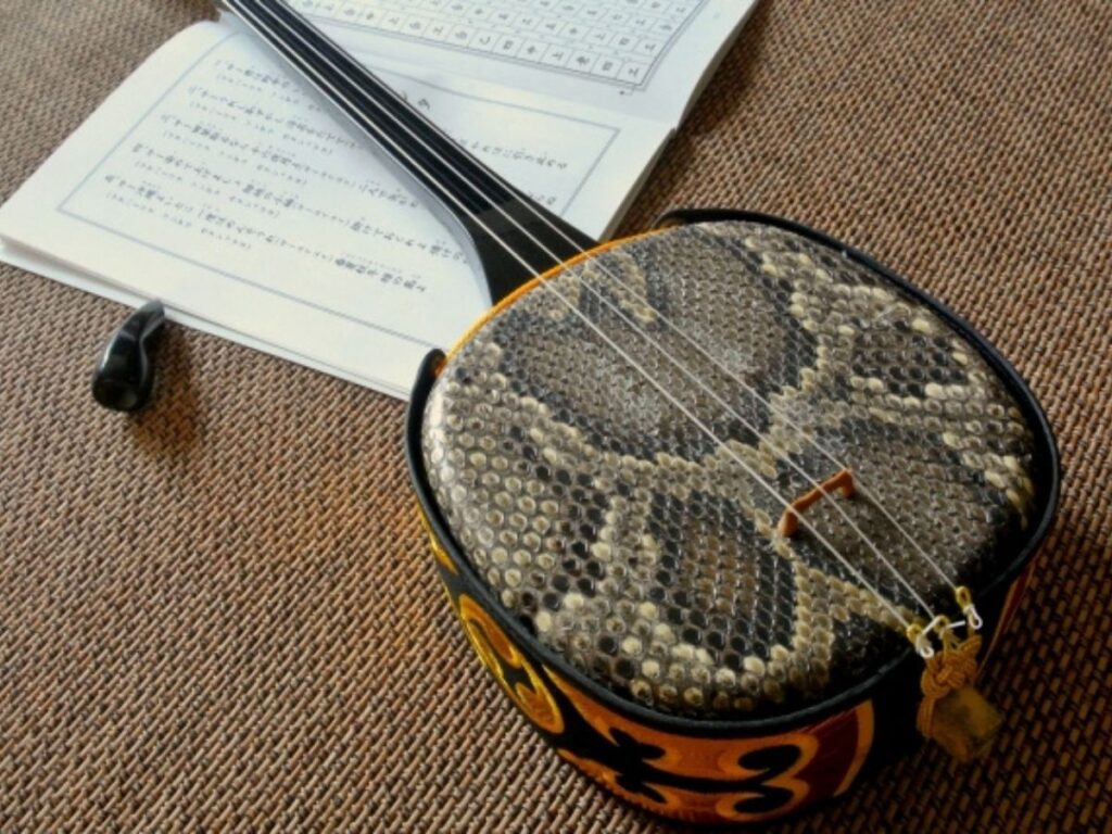 沖縄音楽】沖縄 三線 （本蛇革）布袋、替え弦、爪、教則本、工工四楽譜