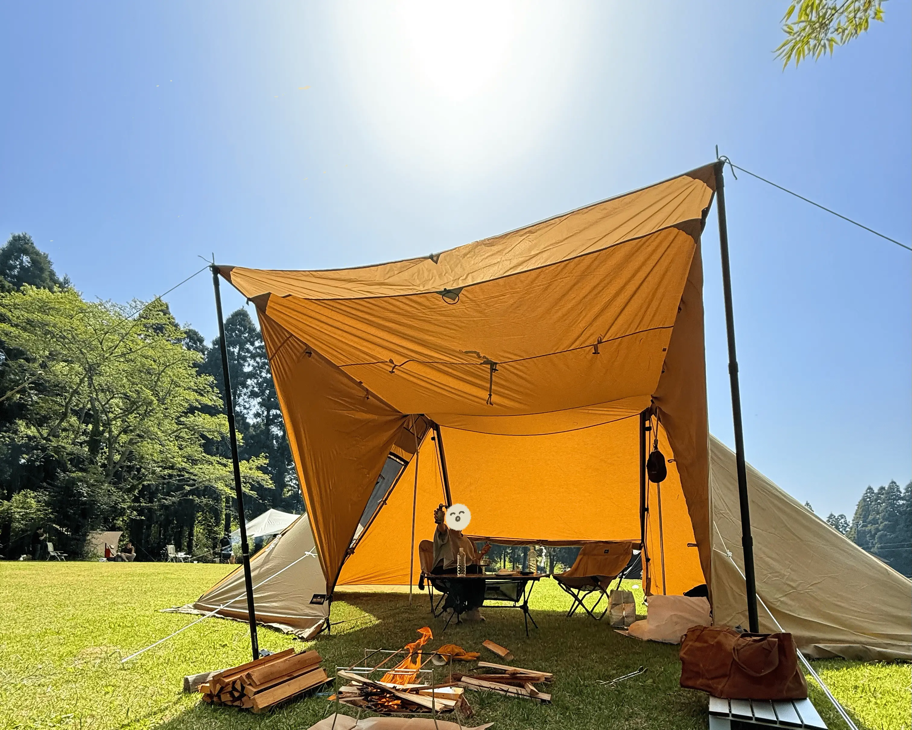 Ogawa ツインクレスタTC レビュー｜半年使用した本音評価 | Omoine