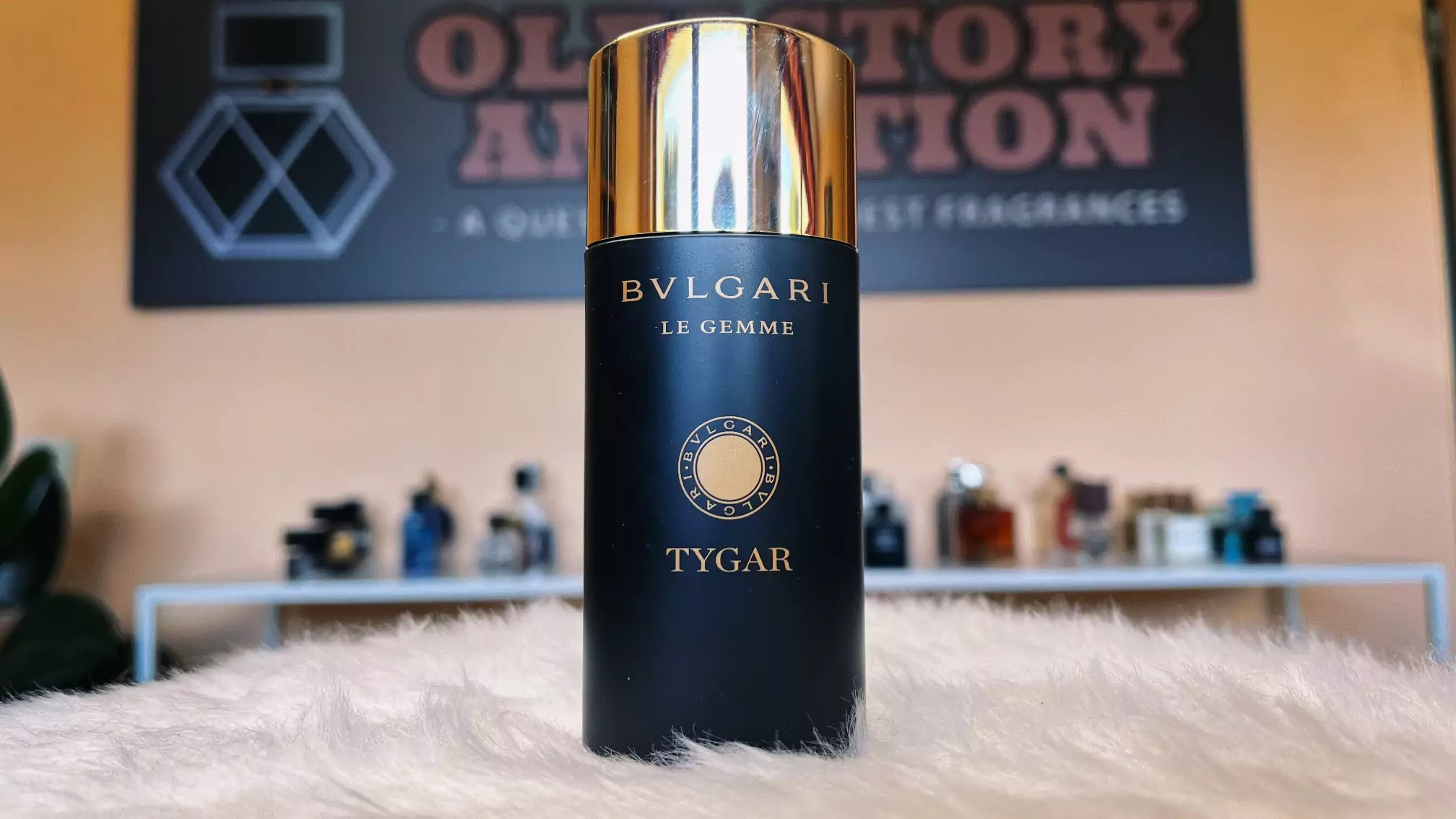 Le Gemme - Tygar (Bvlgari) || レビュー - Olfactory Ambition