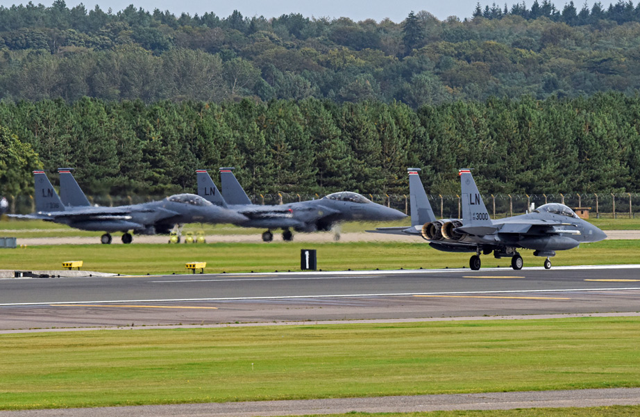 技mix アメリカ空軍 F-15E 第494戦闘飛行隊(レイクンヒース) Hobby