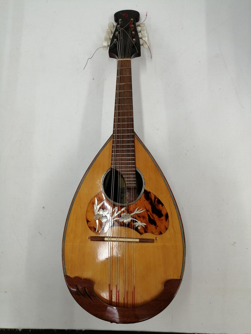 RAFFAELE CALACE & FIGLIO|カラーチェ マンドリン|【ハードオフ公式