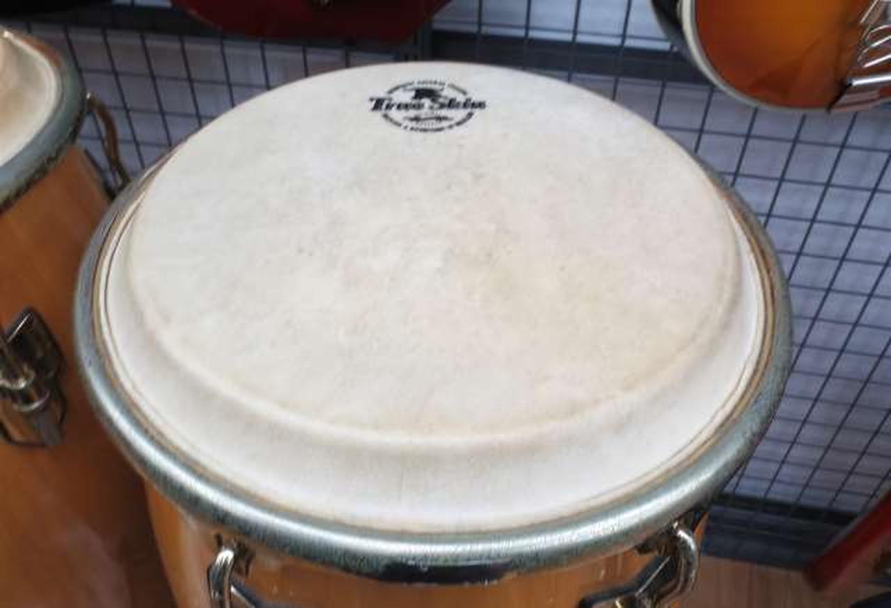 マイネル(MEINL)|コンガ|【ハードオフ公式通販】オフモール