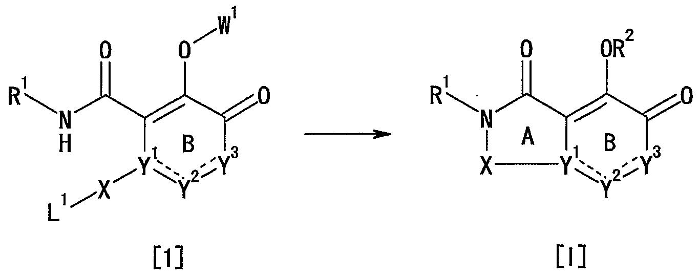 WO2005016927A1 - Nitrogenous condensed-ring compound and use