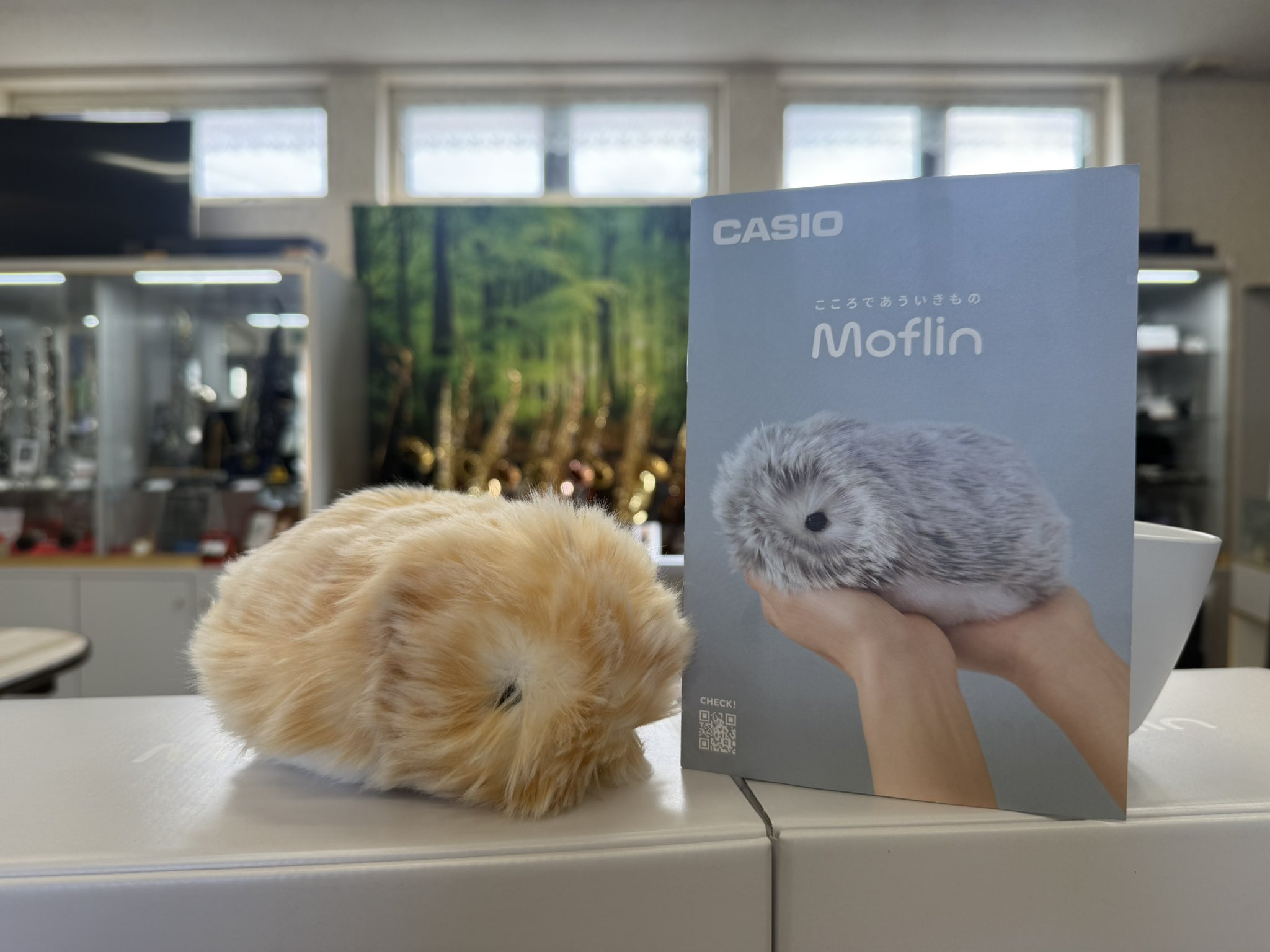 新品未開封】モフリン Moflin ゴールド✨ 人気 CASIO AIペット 新品