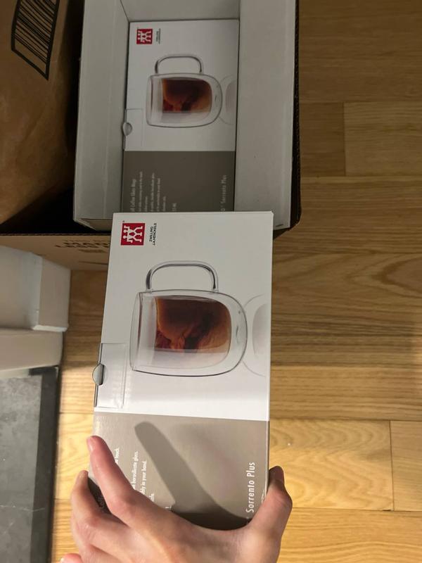Buy ZWILLING Sorrento Plus Double Wall Glassware Mug set