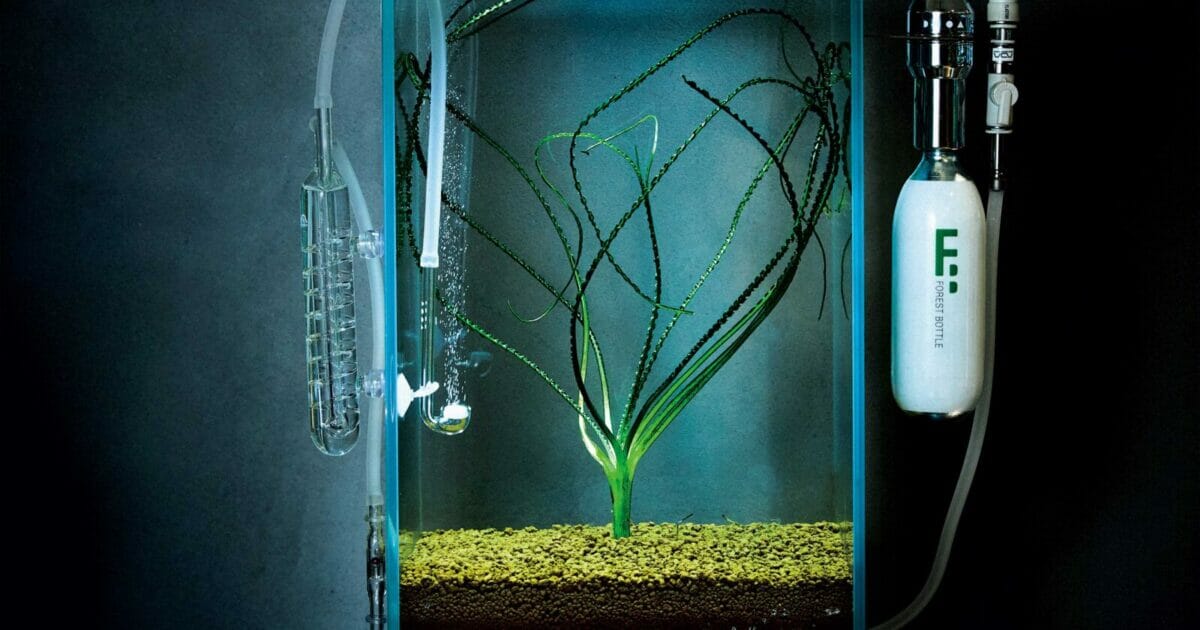 水草用CO2添加装置／机の上のサイエンス。Vol.27 | POPEYE Web