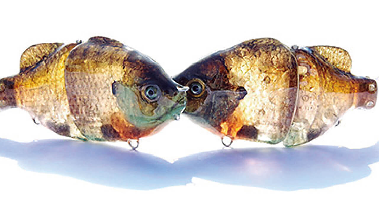 画像 No.5/7] 【値段の価値はある…！】これがルアー!? 本物の魚の皮を