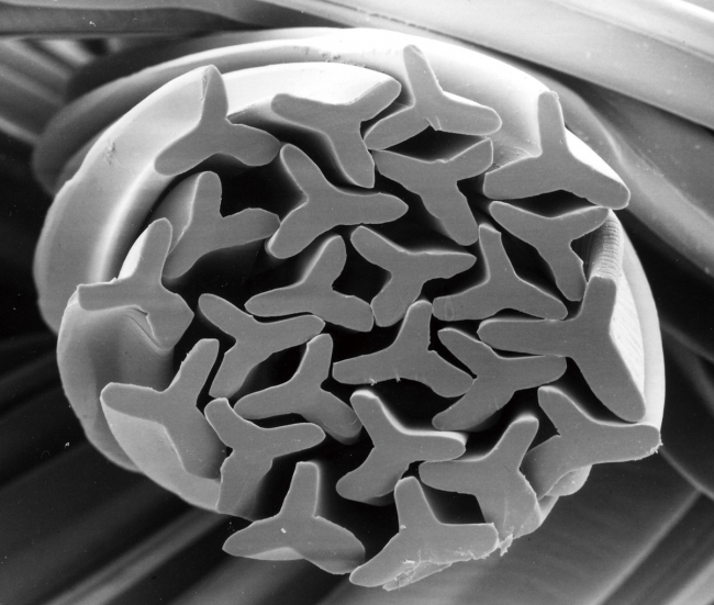 髪に風を感じ、軽やかになびく新感覚ウィッグ ビビッドで上品なカラー