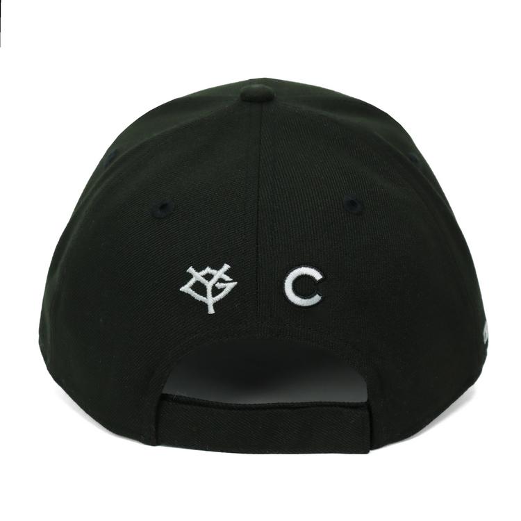 BAJoGWUrxiq9w6WgxV5WJ9?width=750