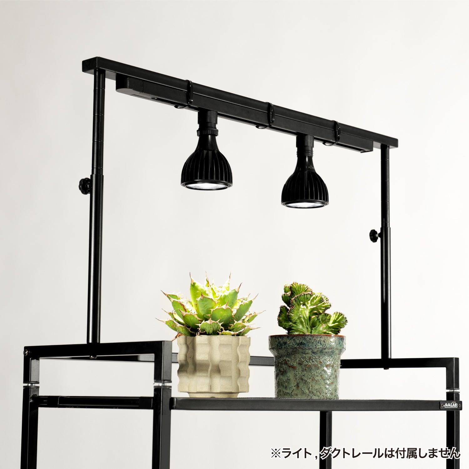 ビザールプランツ】アガベなど多肉植物の育成環境を最適化。組み合わせ