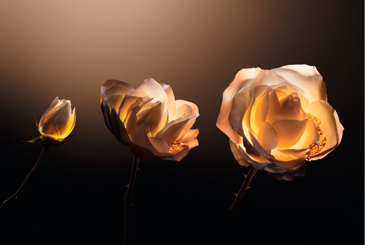 新たなる贅の至福ウルトラ プレミアム美容液「プレステージ ル