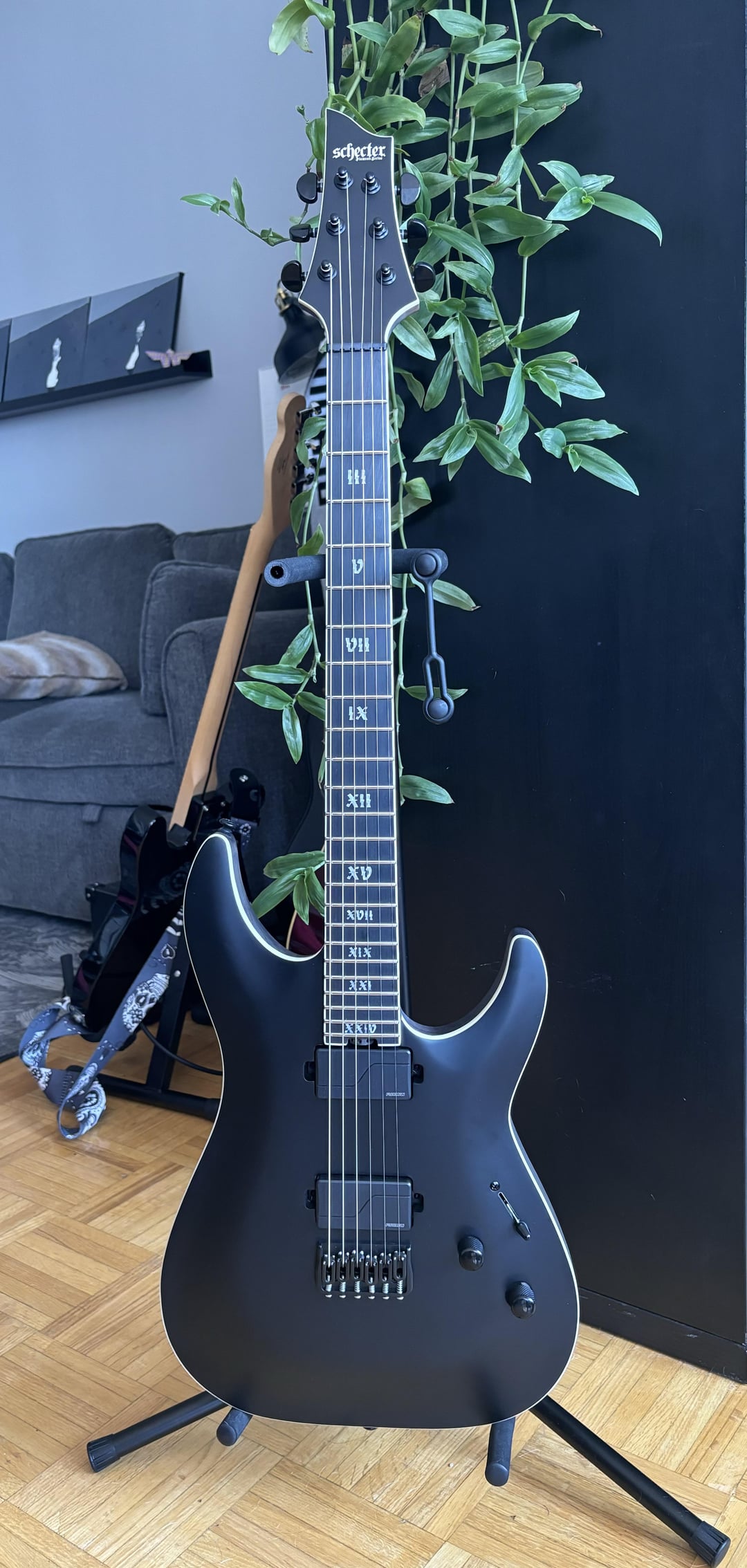 NGD-Schecter C-1 SLS Evil Twin : r/SchecterGuitars