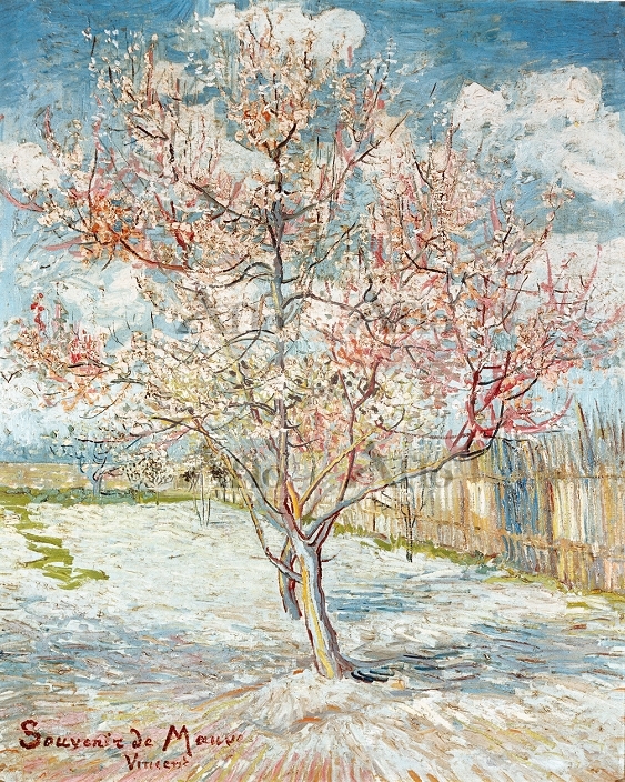 ゴッホ「花咲ける果樹園」 [941052]のアート作品 - アフロ