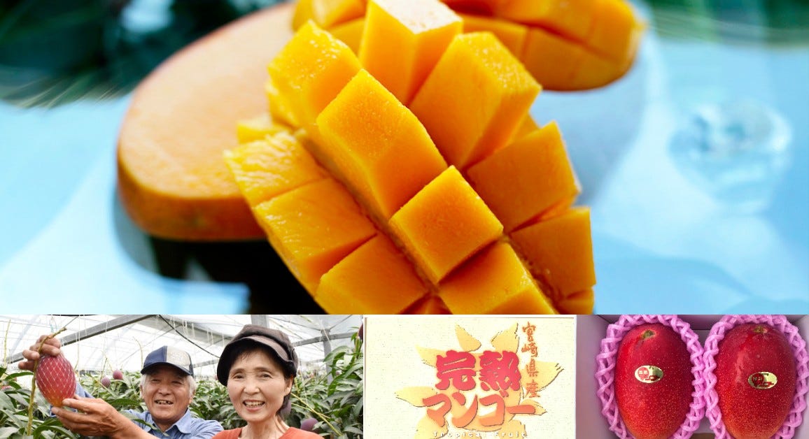 送料無料_直前割引】宮崎県産_”自然落下するまでトロトロに甘く樹上