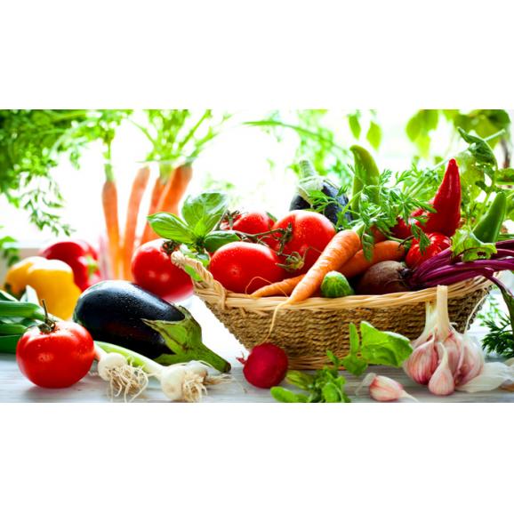 有機植物発酵エキス配合 栄養機能食品（ビタミンB12) The Master Drink