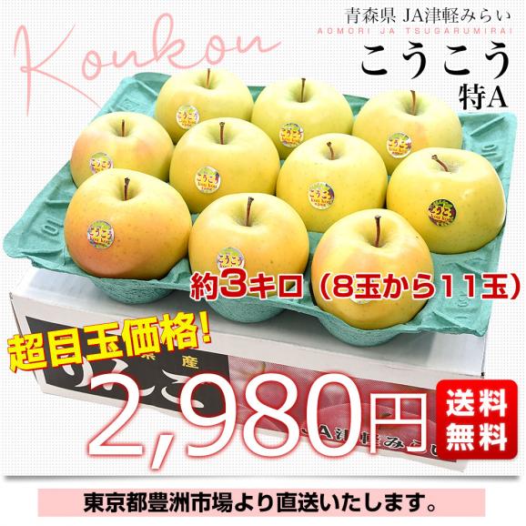 青森県 JA津軽みらい こうこう 約3キロ(8玉から11玉入り) 特A 送料無料