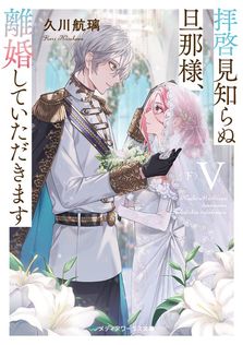 最終巻】エヴァンゲリオン ANIMA 5 - 文芸・小説 山下 いくと/カラー