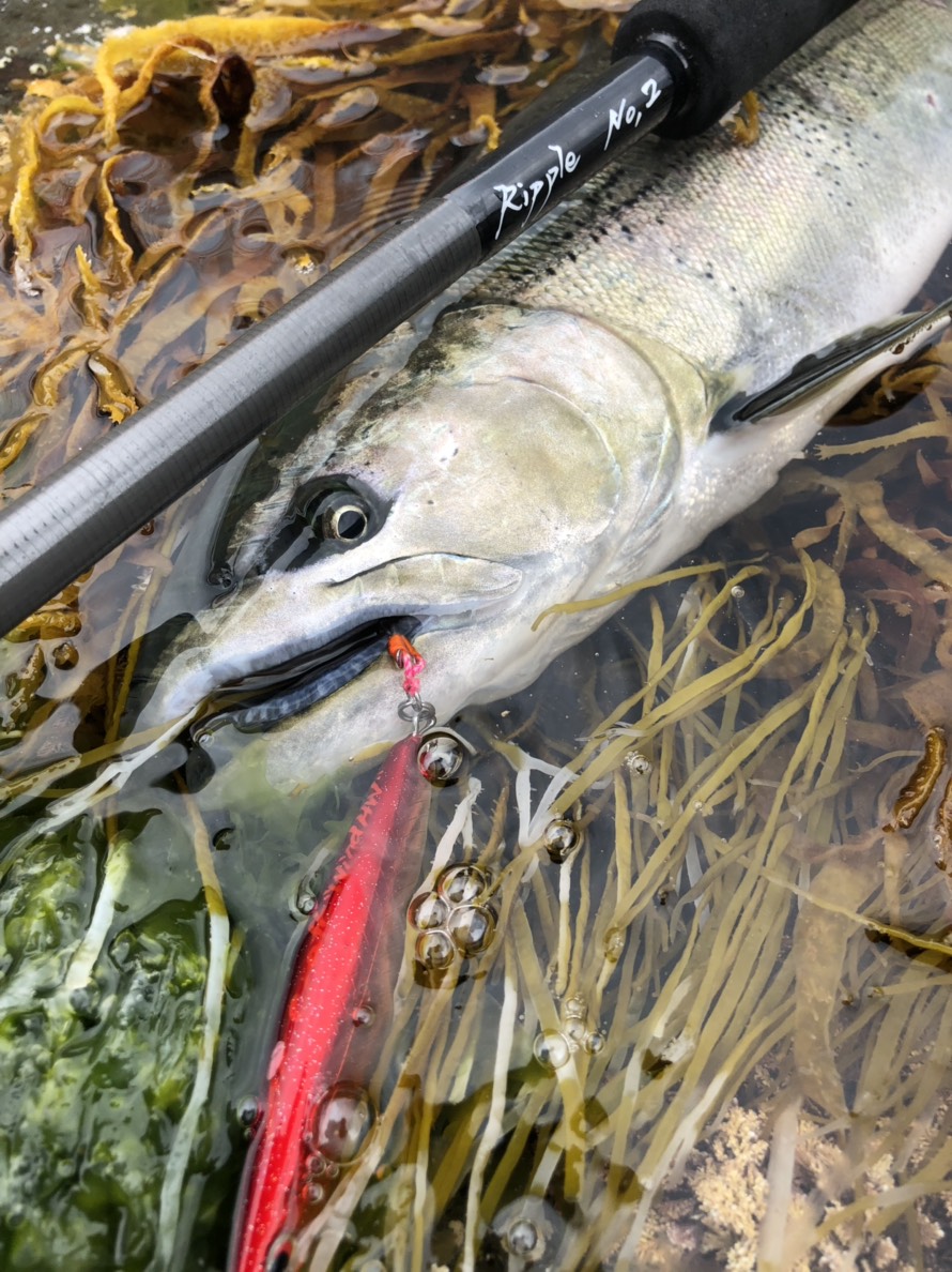 2019年春 新製品解説】 SilverStream Northern | リップルフィッシャー