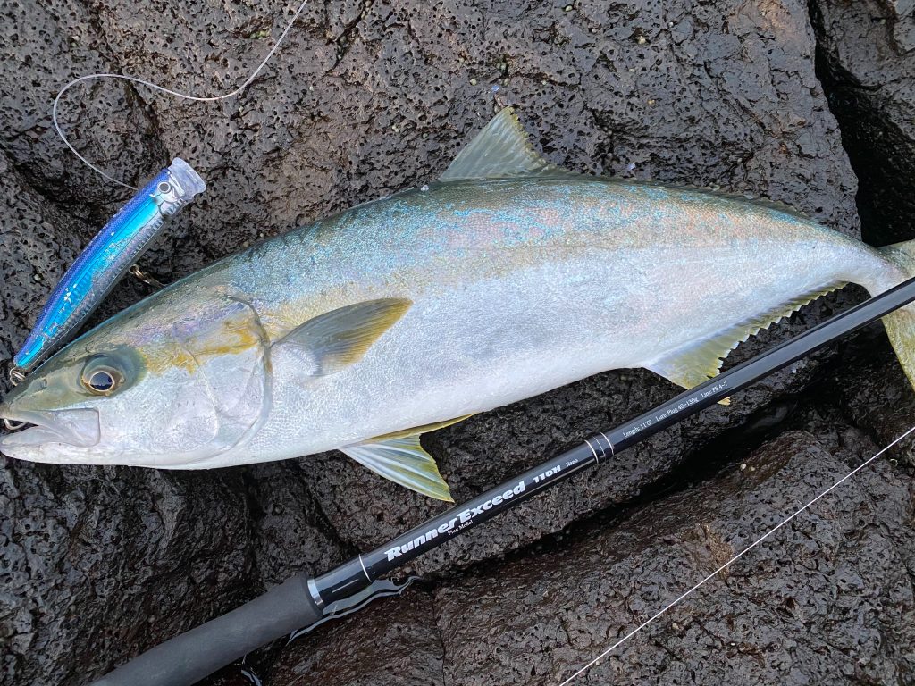 シーズン特集】Vol.7-2「ショアキャスティングモデル～Pe4-6号クラス