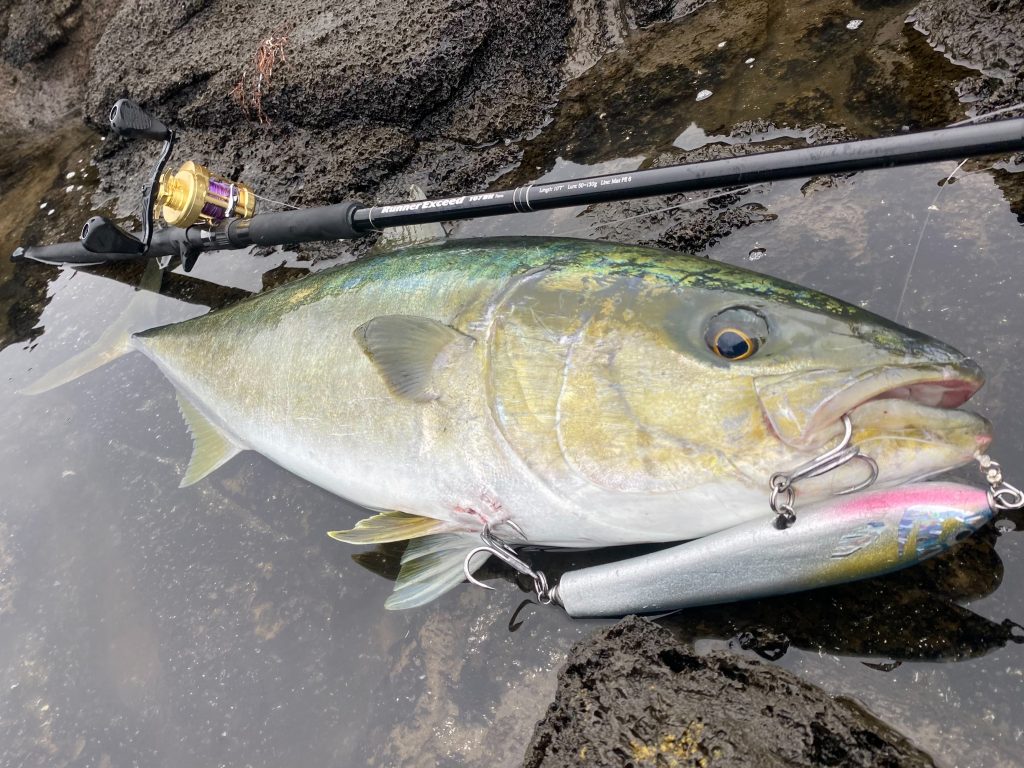 釣行レポート】ベイトタックル-ロックショアゲーム | リップル