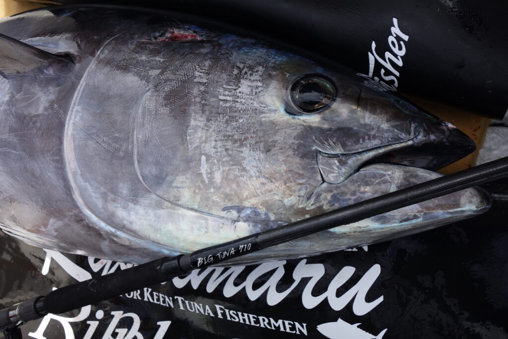 New Products Info】BIGTUNA 710RT & 86 JAPAN SPECIAL | リップル