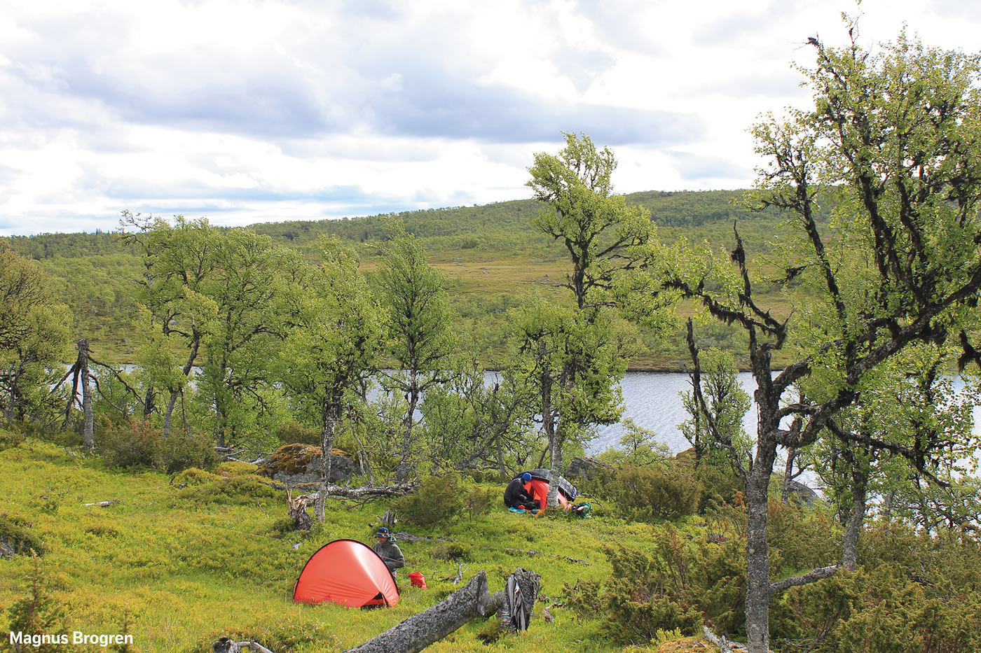 エナン - Hilleberg（ヒルバーグ）公式サイト by エイアンドエフ