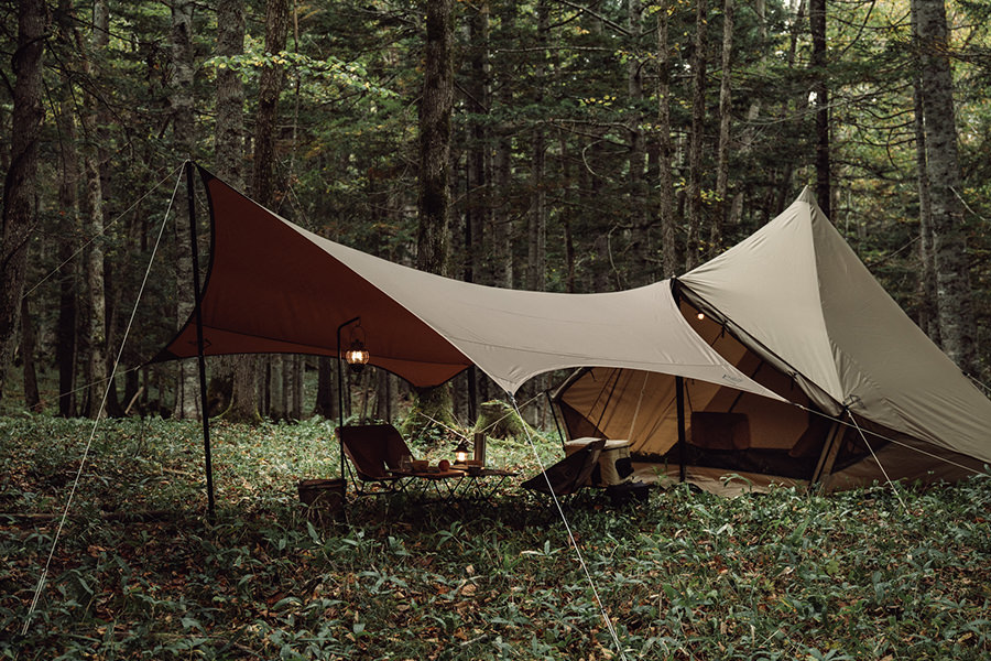 モーニンググローリー シンセティック - 地球の、道具。サバティカル