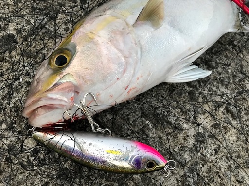 オススメ】誰でも使いやすい！！ シマノ 「ロックスプラッシュ140F