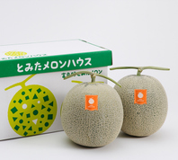 赤肉メロン2玉詰大5kg以上 | とみたメロンハウス