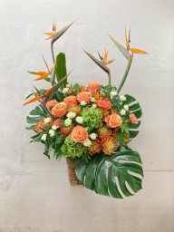 vIL6h8mTzxwZBp66IgVYzvtXI6SsfJ