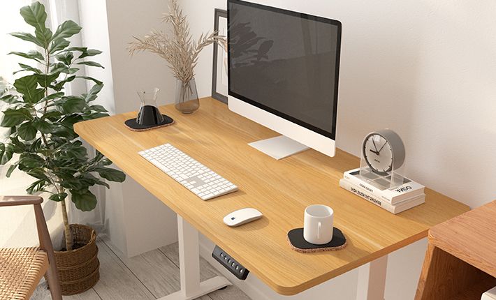 電動昇降式デスク・E9 | FlexiSpot 公式ストア