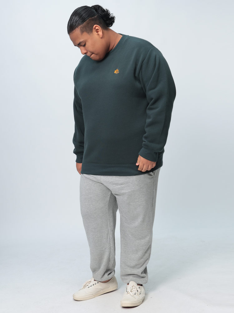 トレーナー 裏起毛 胸ロゴ刺繍 クルーネック トップス プルオーバー