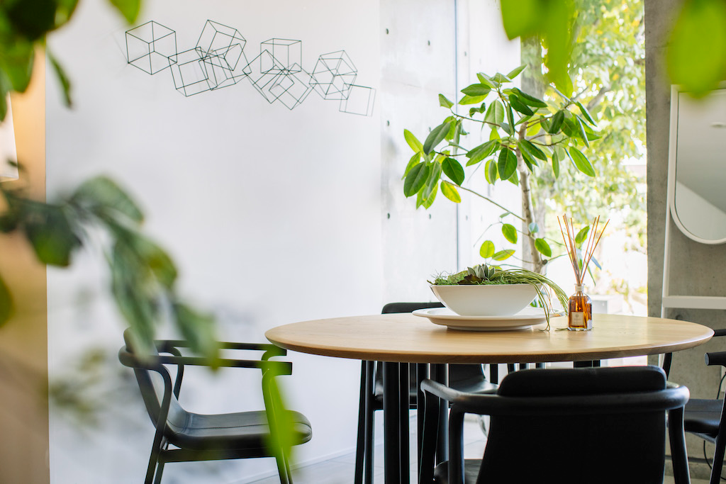 インテリアグリーンの魅力とは？空間に美しく馴染むアイデアをご紹介