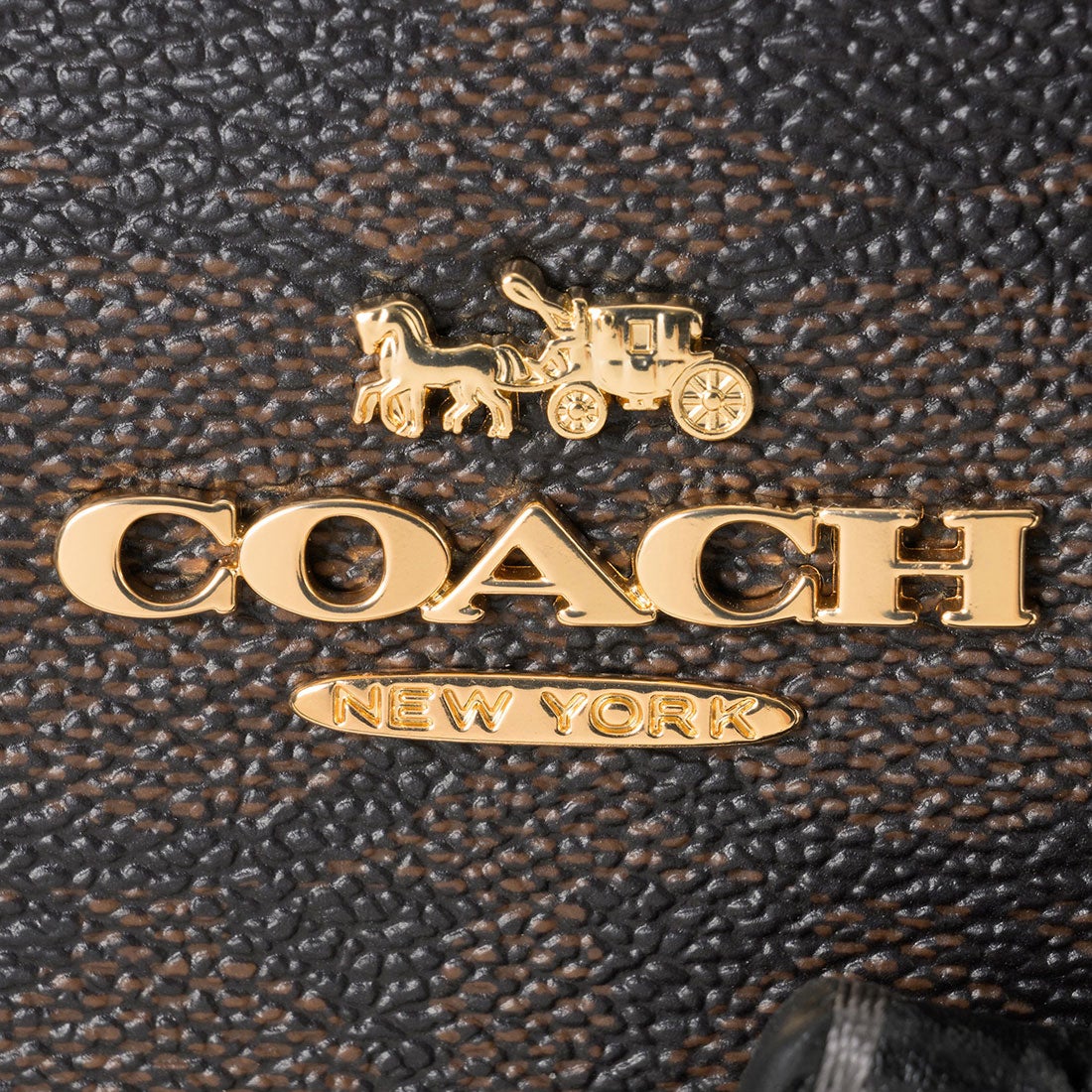 コーチ COACH ショルダーバッグ アンドレア ミニ キャリーオール CO975