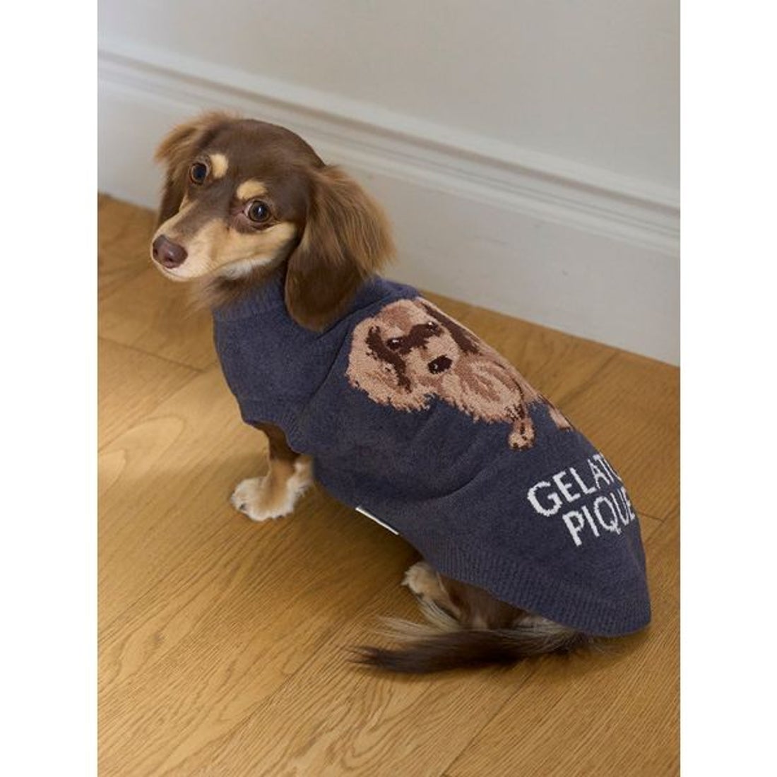 ジェラートピケ gelato pique 【CAT&DOG】ダックスフンドジャガード